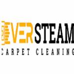 EverSteamCarpetCleaning Profile Picture